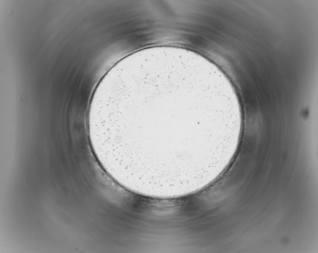 X0000090461338200707272229