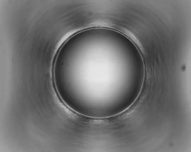 X0000090461339200707272229