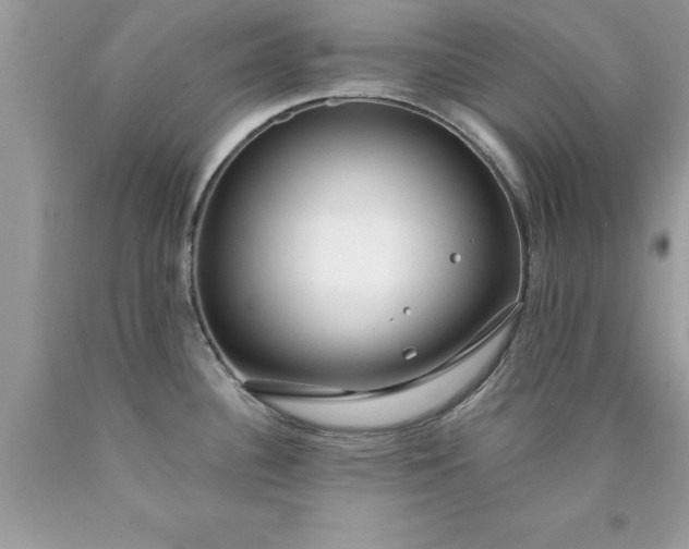 X0000090461340200707272229