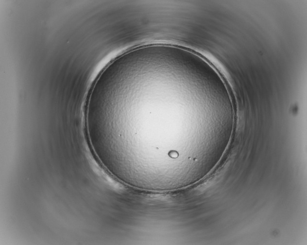 X0000090461341200707272229