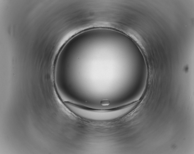 X0000090461342200707272229