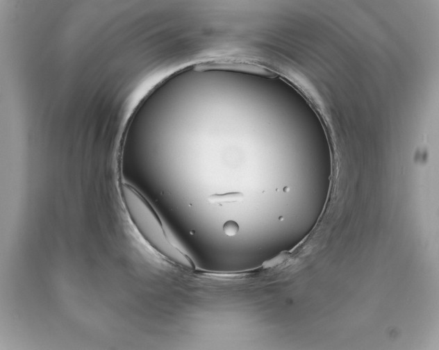 X0000090461344200707272229