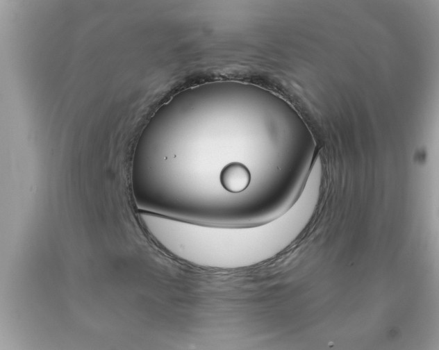 X0000090461345200707272228