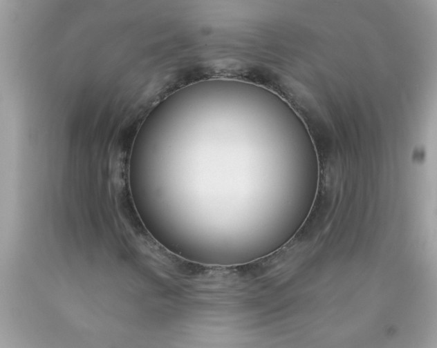 X0000090461346200707272228