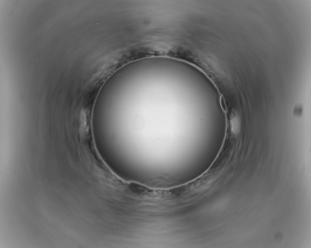 X0000090461347200707272228