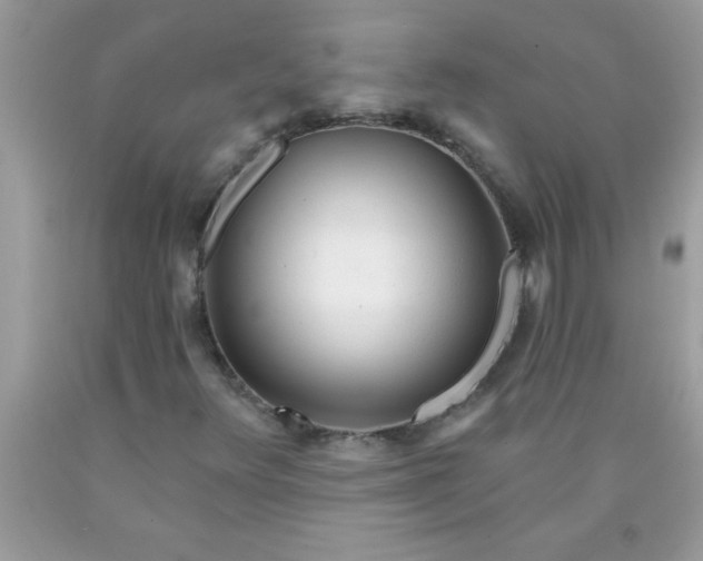 X0000090461348200707272228