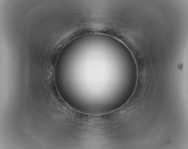X0000090461349200707272228