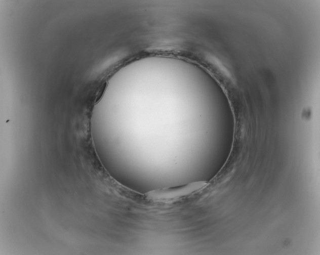 X0000090461350200707272228