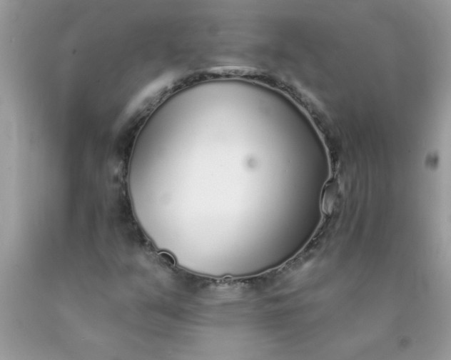 X0000090461351200707272228