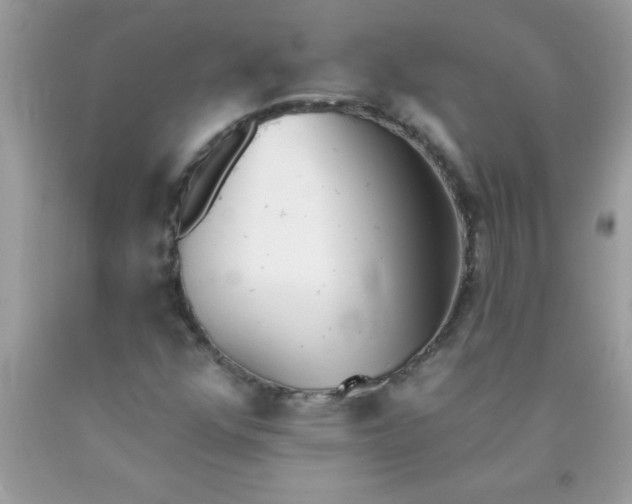X0000090461352200707272228