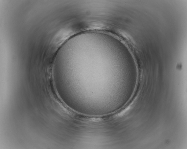 X0000090461353200707272228