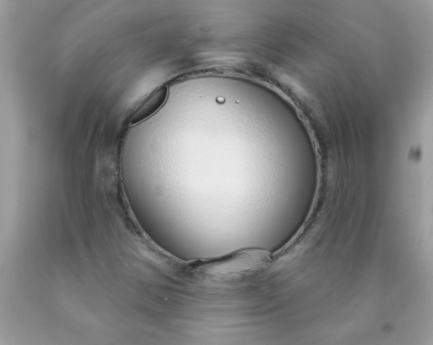 X0000090461354200707272228