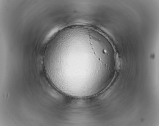 X0000090461355200707272228