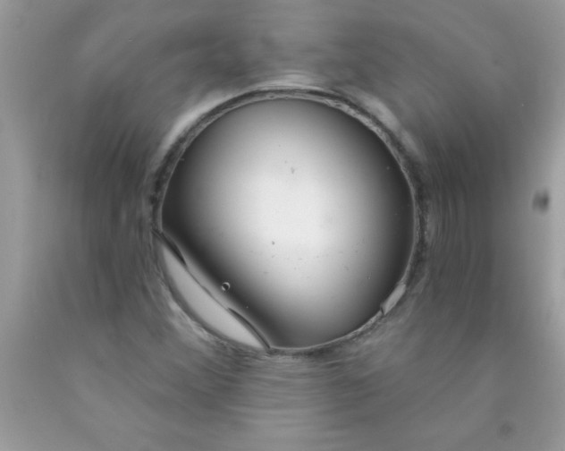 X0000090461356200707272228