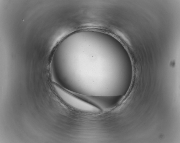 X0000090461357200707272228