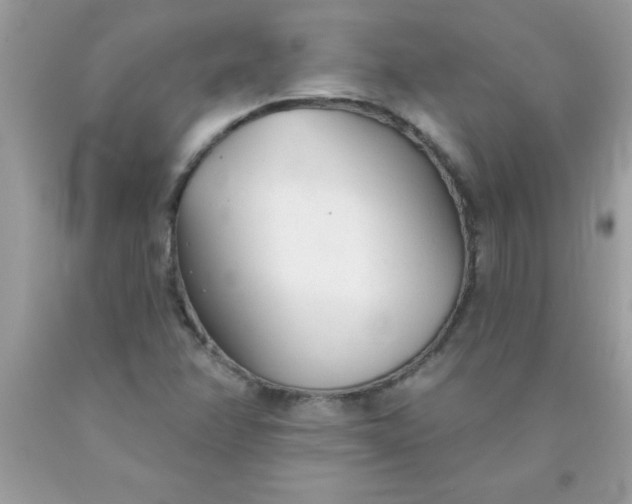 X0000090461358200707272228