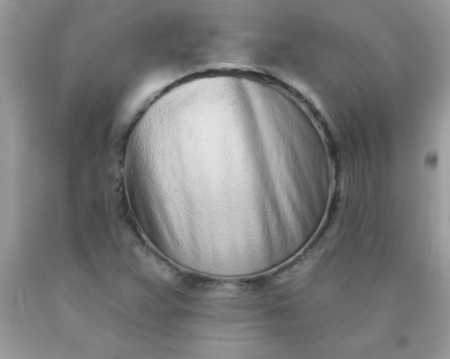 X0000090461359200707272228