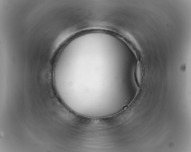 X0000090461360200707272228
