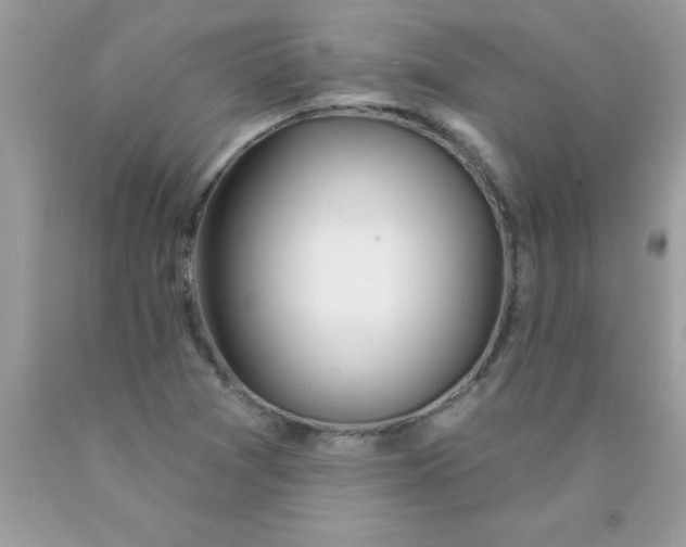 X0000090461361200707272228