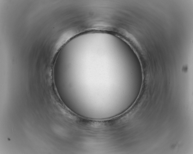 X0000090461362200707272228