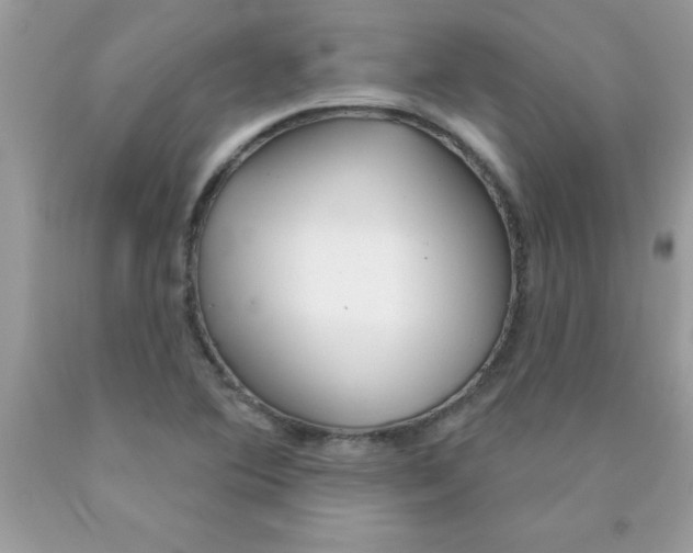X0000090461364200707272228