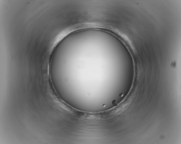 X0000090461365200707272228