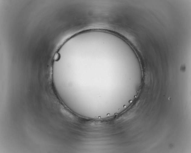 X0000090461366200707272228