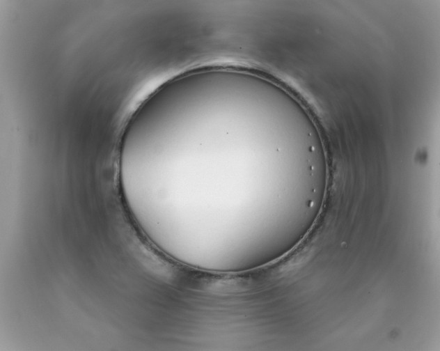 X0000090461367200707272228