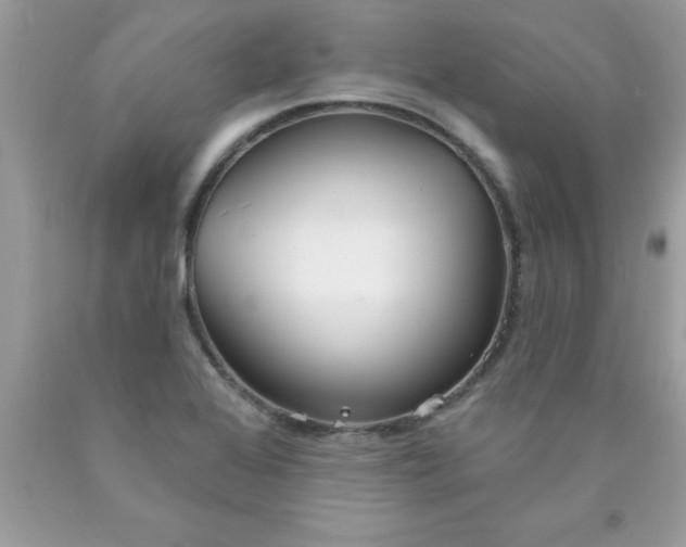 X0000090461368200707272228