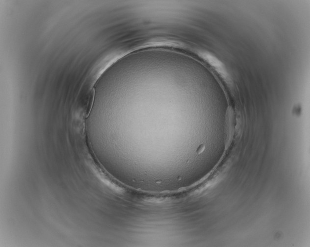 X0000090461369200707272228