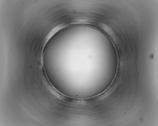 X0000090461370200707272228