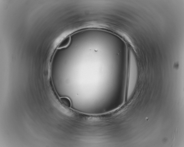 X0000090461371200707272228