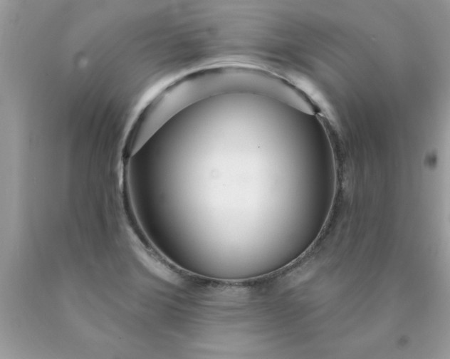X0000090461372200707272228