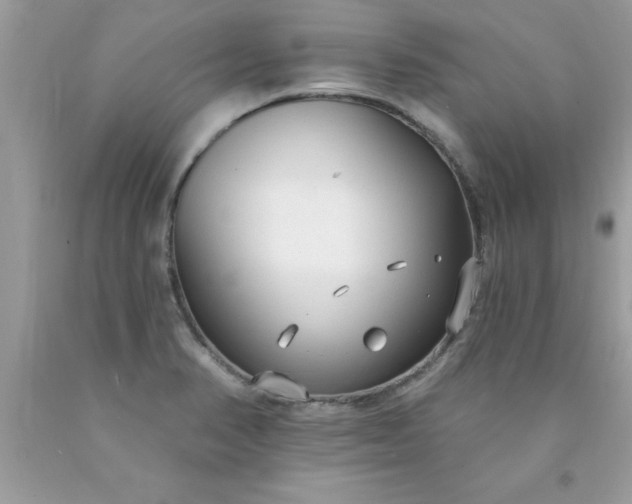 X0000090461374200707272228
