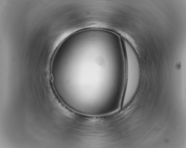 X0000090461375200707272228