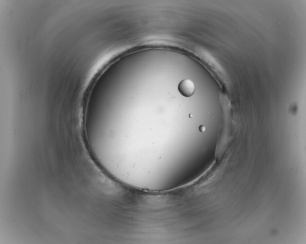 X0000090461376200707272228