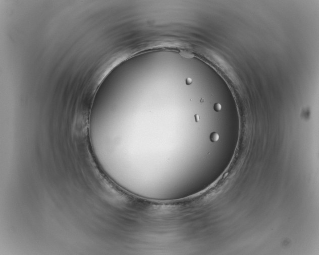 X0000090461377200707272228