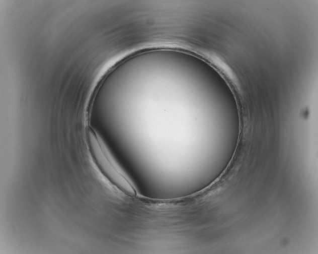 X0000090461380200707272228