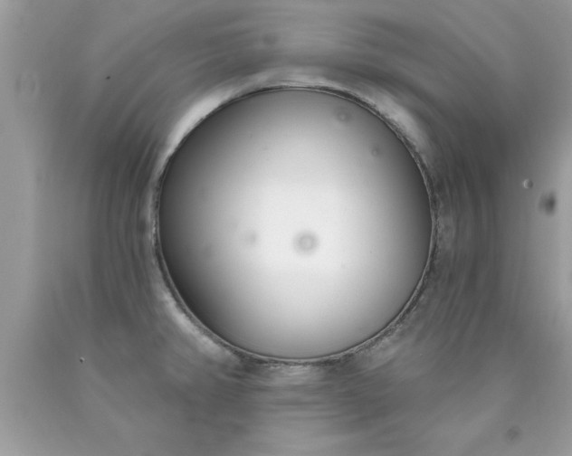 X0000090461382200707272228