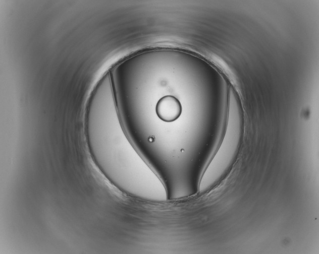 X0000090461384200707272228