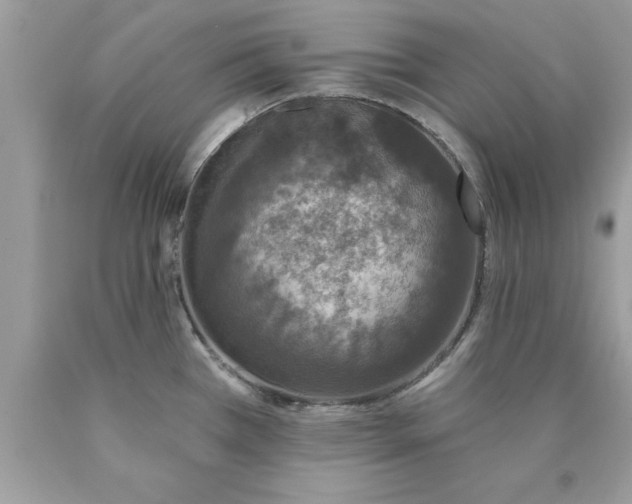 X0000090461385200707272228