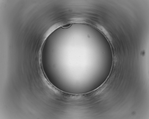X0000090461386200707272228