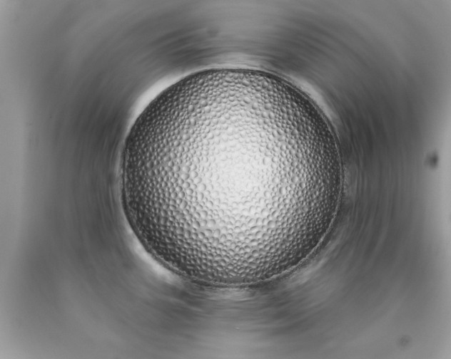 X0000090461387200707272227
