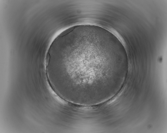 X0000090461388200707272227