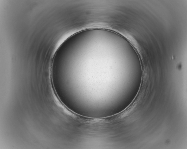 X0000090461390200707272227