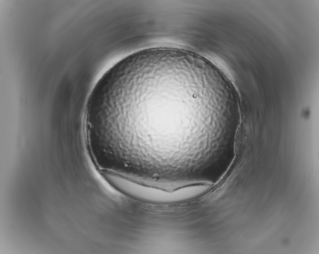 X0000090461391200707272227