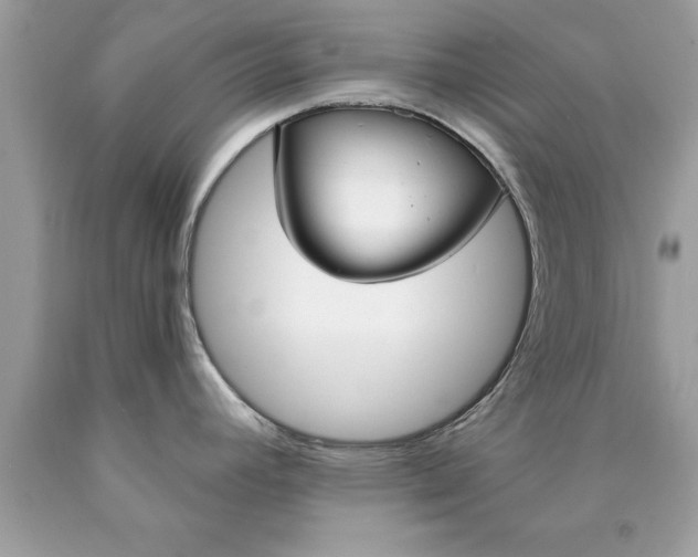 X0000090461392200707272227