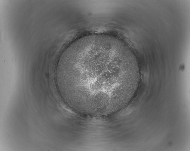 X0000090461393200707272227