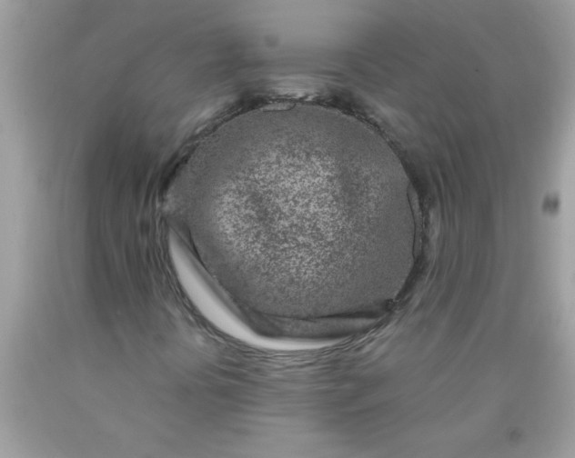 X0000090461394200707272227