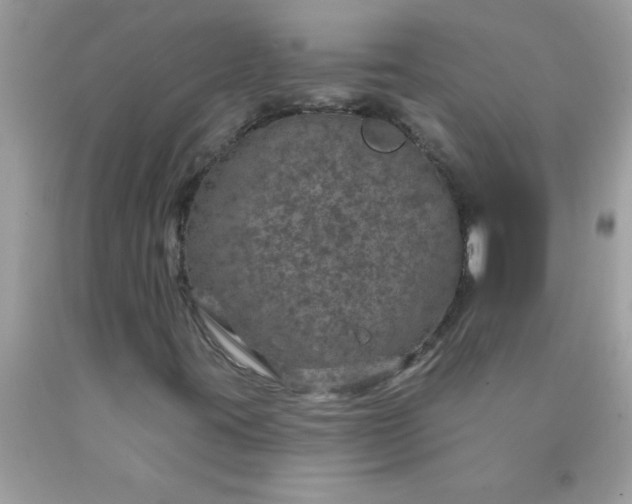 X0000090461395200707272227